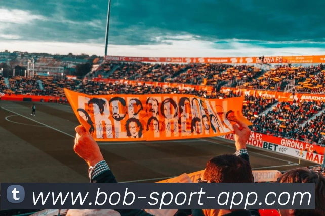 App Interface Preview