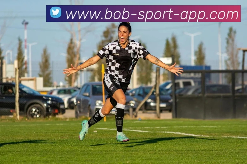 bob体育APP 封面图